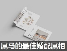 属马的最佳婚配属相