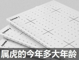 属虎的今年多大年龄