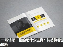 “一厢情愿”指的是什么生肖？情感执着生肖解析