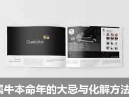 属牛本命年的大忌与化解方法