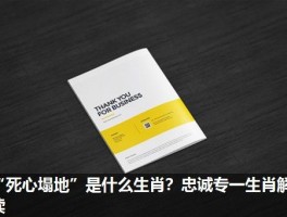 “死心塌地”是什么生肖？忠诚专一生肖解读