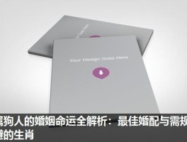 属狗人的婚姻命运全解析：最佳婚配与需规避的生肖