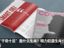 “干劲十足”是什么生肖？精力旺盛生肖分析
