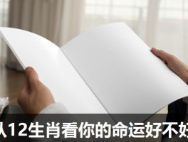 从12生肖看你的命运好不好