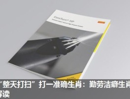“整天打扫”打一准确生肖：勤劳洁癖生肖解读