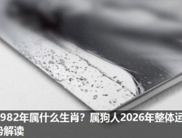 1982年属什么生肖？属狗人2026年整体运势解读