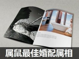 属鼠最佳婚配属相