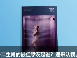 十二生肖的最佳挚友是谁？速来认领。