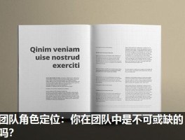 团队角色定位：你在团队中是不可或缺的吗？
