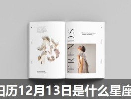 阳历12月13日是什么星座