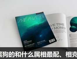 属狗的和什么属相最配、相克