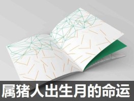 属猪人出生月的命运