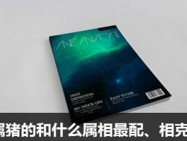 属猪的和什么属相最配、相克