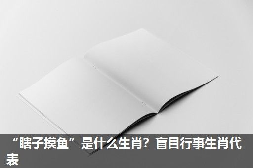 “瞎子摸鱼”是什么生肖?盲目行事生肖代表 “瞎子摸鱼”是什么生肖?盲目行事生肖代表