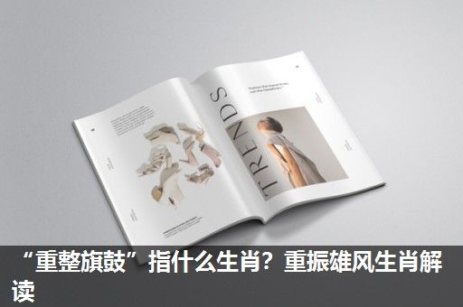 “重整旗鼓”指什么生肖?重振雄风生肖解读 “重整旗鼓”指什么生肖?重振雄风生肖解读