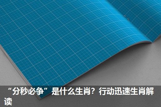 “分秒必争”是什么生肖?行动迅速生肖解读 “分秒必争”是什么生肖?行动迅速生肖解读