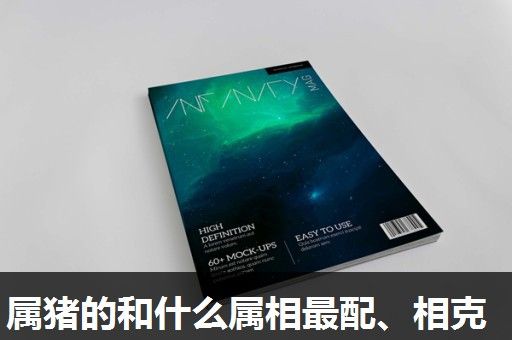 属猪的和什么属相最配、相克 属猪的和什么属相最配、相克