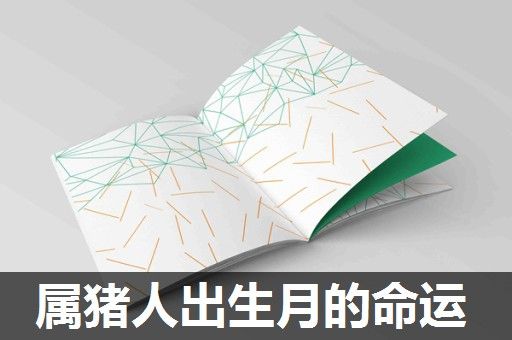 属猪人出生月的命运 属猪人出生月的命运