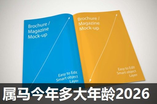 属马今年多大年龄2026 属马今年多大年龄2026